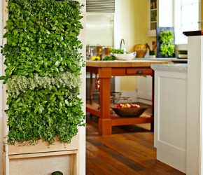 Williams-Sonoma-Freestanding-Vertical-Garden-for-Kitchen